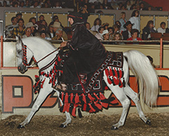 Aztec Royal Prince Native Costume