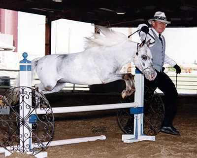 Harris Polka Dot and Jim jumping