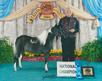 JC Fascination and Jim, 2004 AMHR National Champion