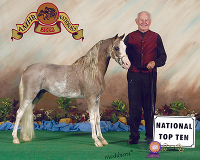 Royal Splish Splash and Jim, 2008 AMHR Nationas