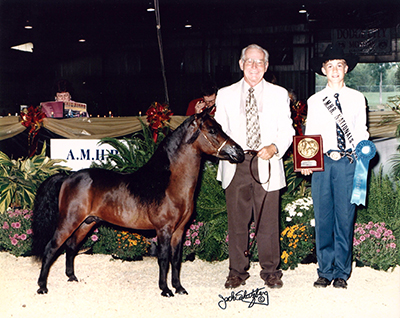 Sunnyside Justin and Jim at AMHR Nationals