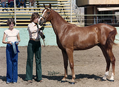 Michele Nelson and El Titan