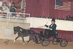 Grandpa's Gambling Man
