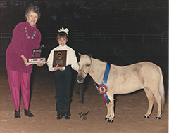 Komokos Gold Crest and Chrystal Want