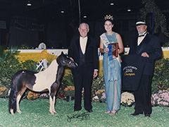 Curry's Ballerina Futurity Winner