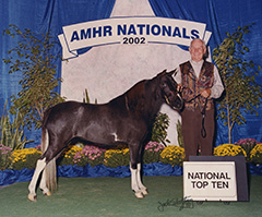 Lust’s Lady of Distinction