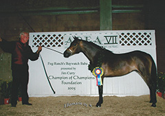 Fog Ranch's Baywatch Babe