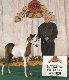 Curry's Cover Girl 2006