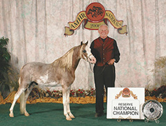 Royal Splish Splash 2006