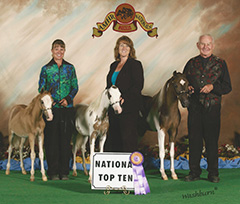 Get of Sire AMHR 2008