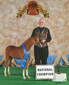 Curry's Deam Girl 2010