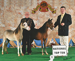 Produce of Dam AMHR 2010