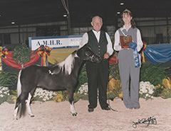 JC Fascination AMHA, Curry’s Fascinating Rhythm AMHR HOF