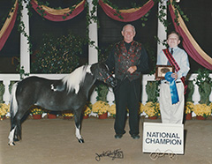 JC Fascination (AMHA), Curry’s Fascinating Rhythm (AMHR HOF)