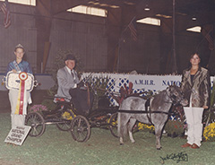 Tomahawks Jeweled Image Reserve Grand Champion Park Harness 