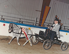 Tomahawks Jeweled Image