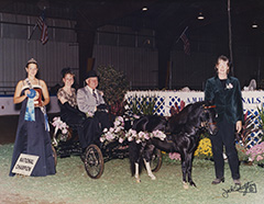 Curry’s Justa Ladies Man HOF