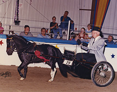 Ladies Man Reserve National Champion