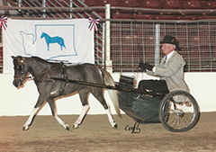 Lust's Lady of Distinction