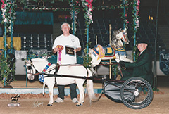 >Tiny Tales Golden Legacy