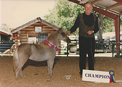 JC Yankee Doodle Dandy